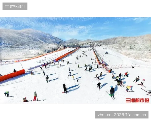 国内排名前20的滑雪场中，已有超过60%的核心索道换装了高敏涡流探伤系统